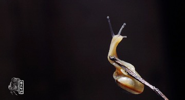 IMGP0777_