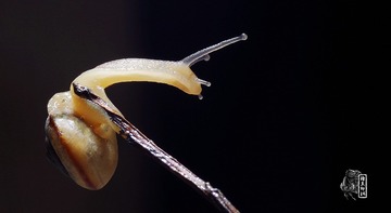IMGP0781_