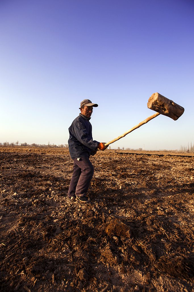 留下家里所有的地都由他一人耕种,图片中的老人正在将家里拉来的土肥