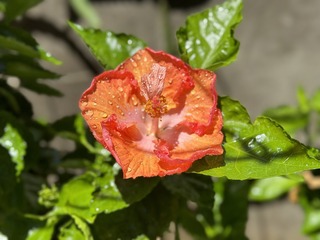 62CDD1C2-95E2-4D20-9FCF-B75BE4794774/L0/001