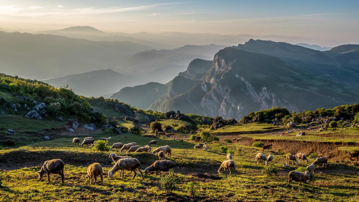 高山羊群 - 乌蒙印象1666 - 图虫