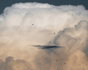 712280