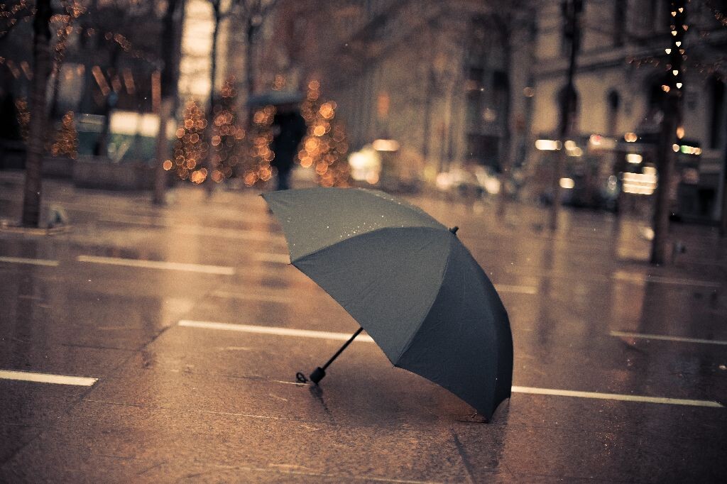 那天阴天没拍到什么好的，就拿雨伞拍了几张，