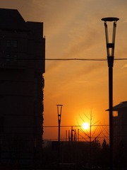 050.jpg
