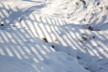 5D6A2331.jpg