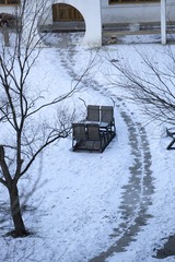 5D6A2519.jpg