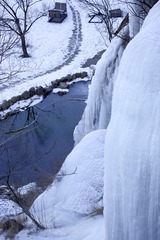 5D6A2521.jpg