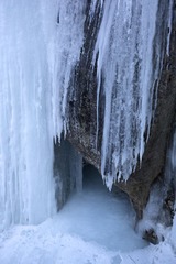 5D6A2523.jpg