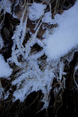 5D6A2550.jpg