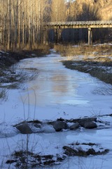5D6A2567.jpg