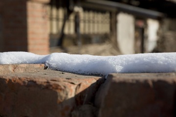 5D6A2381.jpg