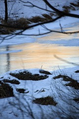 5D6A2459.jpg