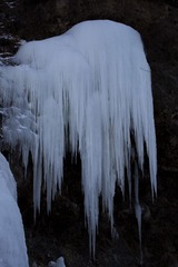 5D6A2479.jpg