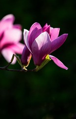 IMG_0007.JPG