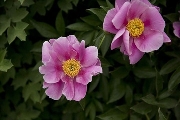 5D6A4889.jpg