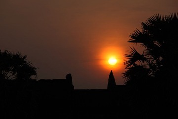 IMG_3684_1