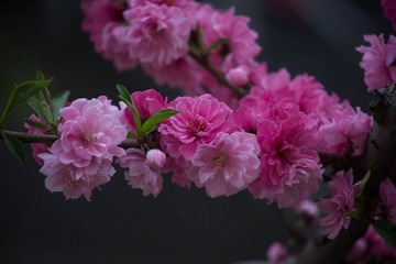 01c38a45bbea548e0d69f1b5f44041bbc2f9a8641d