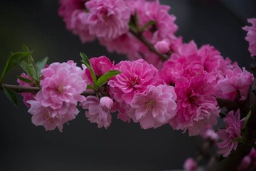 01ff55a15f774b4e1c6f5cbe130504a2a8cef8b25c