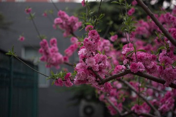 0101a094b1181bb13f5f1926cb4c9dfc9c8cf7c175
