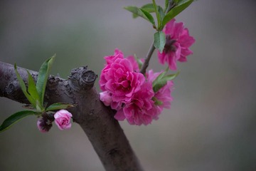01285ab20d6749004c15a643675f9ec3493264bc4c