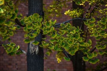 5D6A4697
