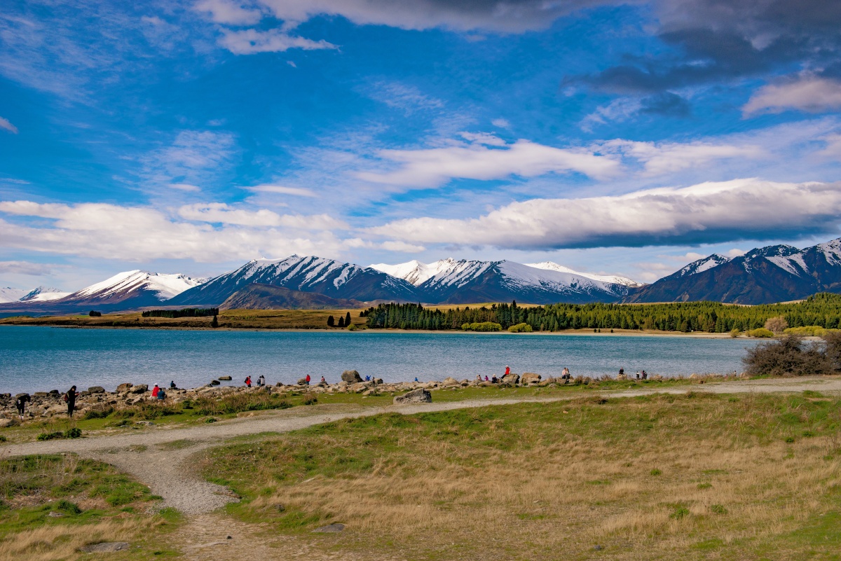 新西兰蒂卡波湖