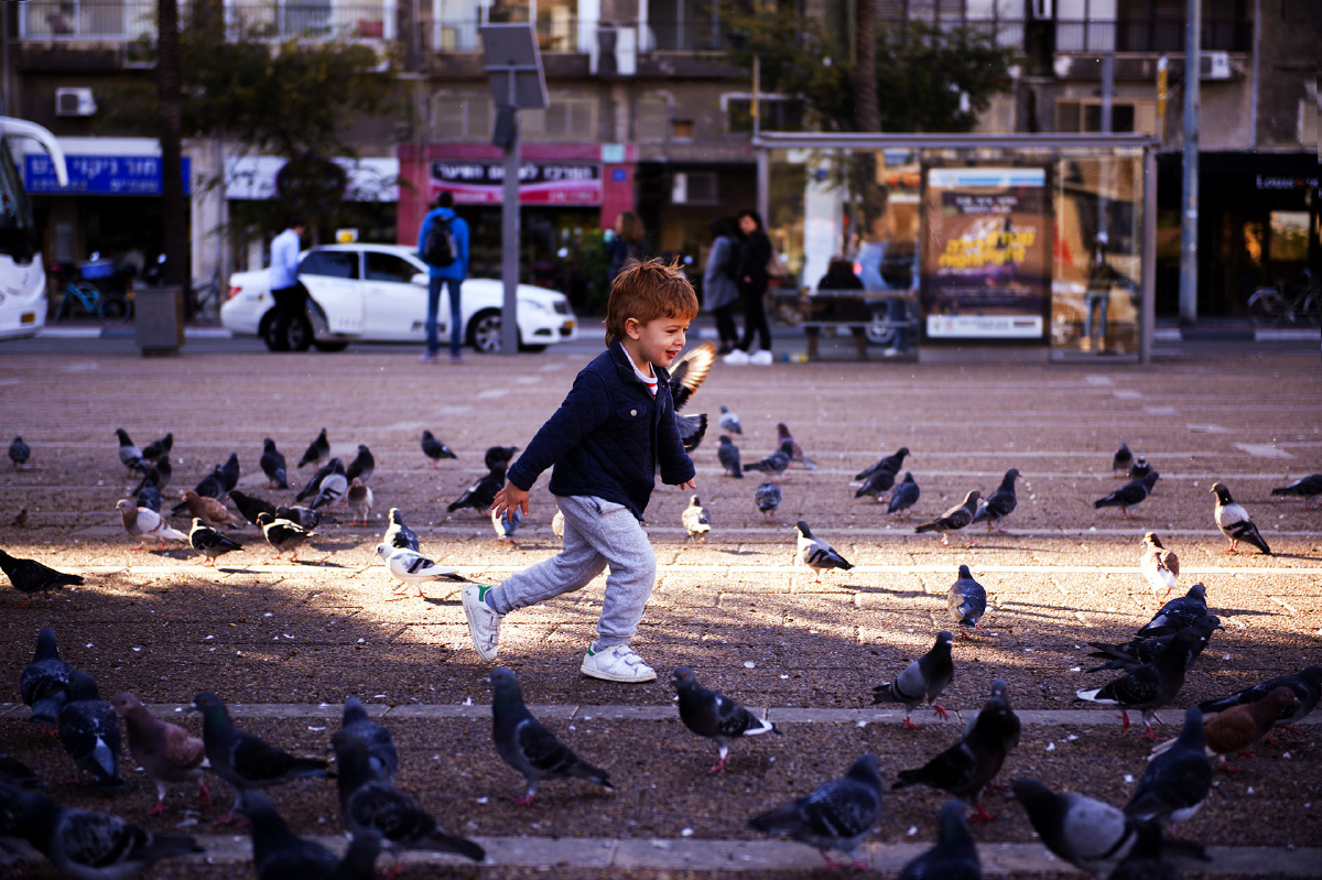 以色列特拉维夫和平广场上追逐鸽子的儿童