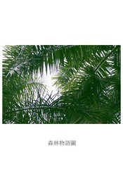 IMG_3696m
