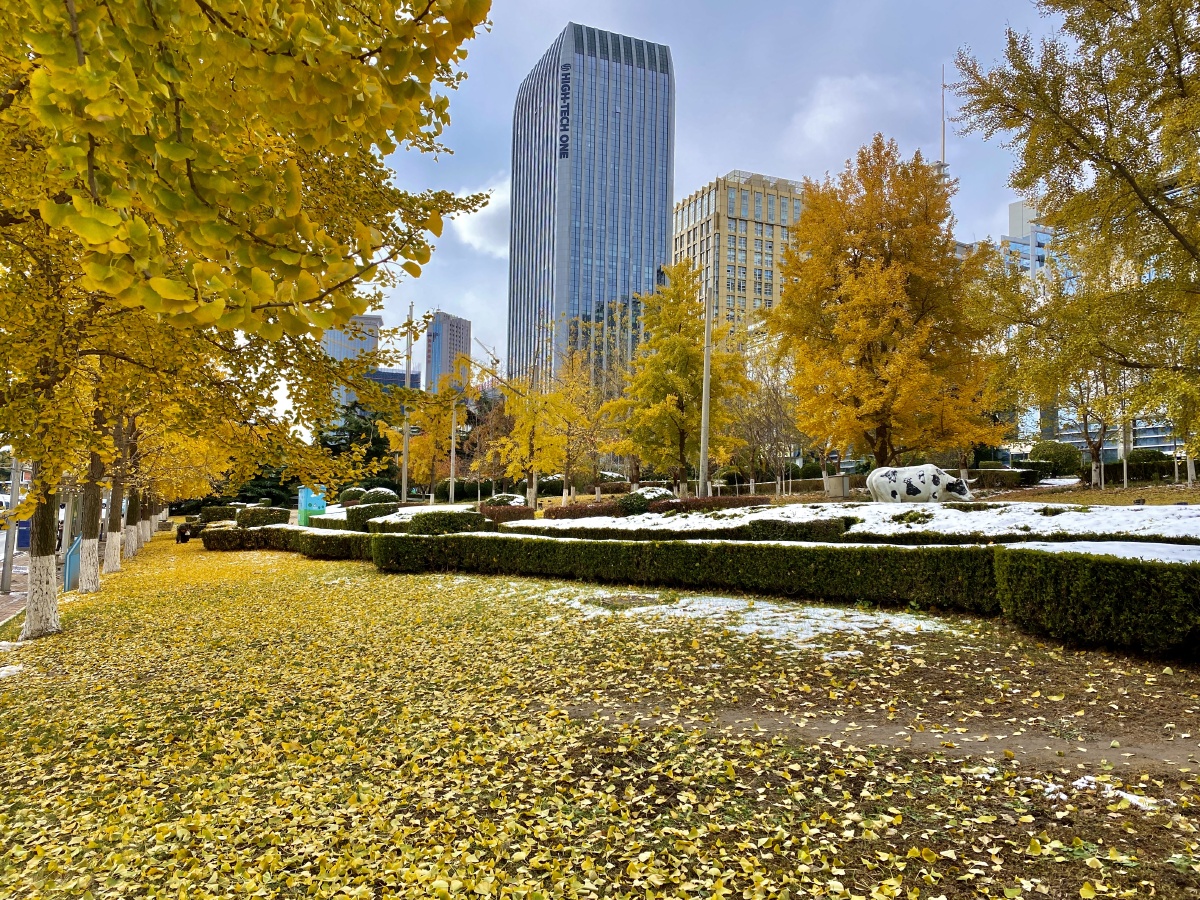 立冬时节的城市手机拍摄于大连高新区