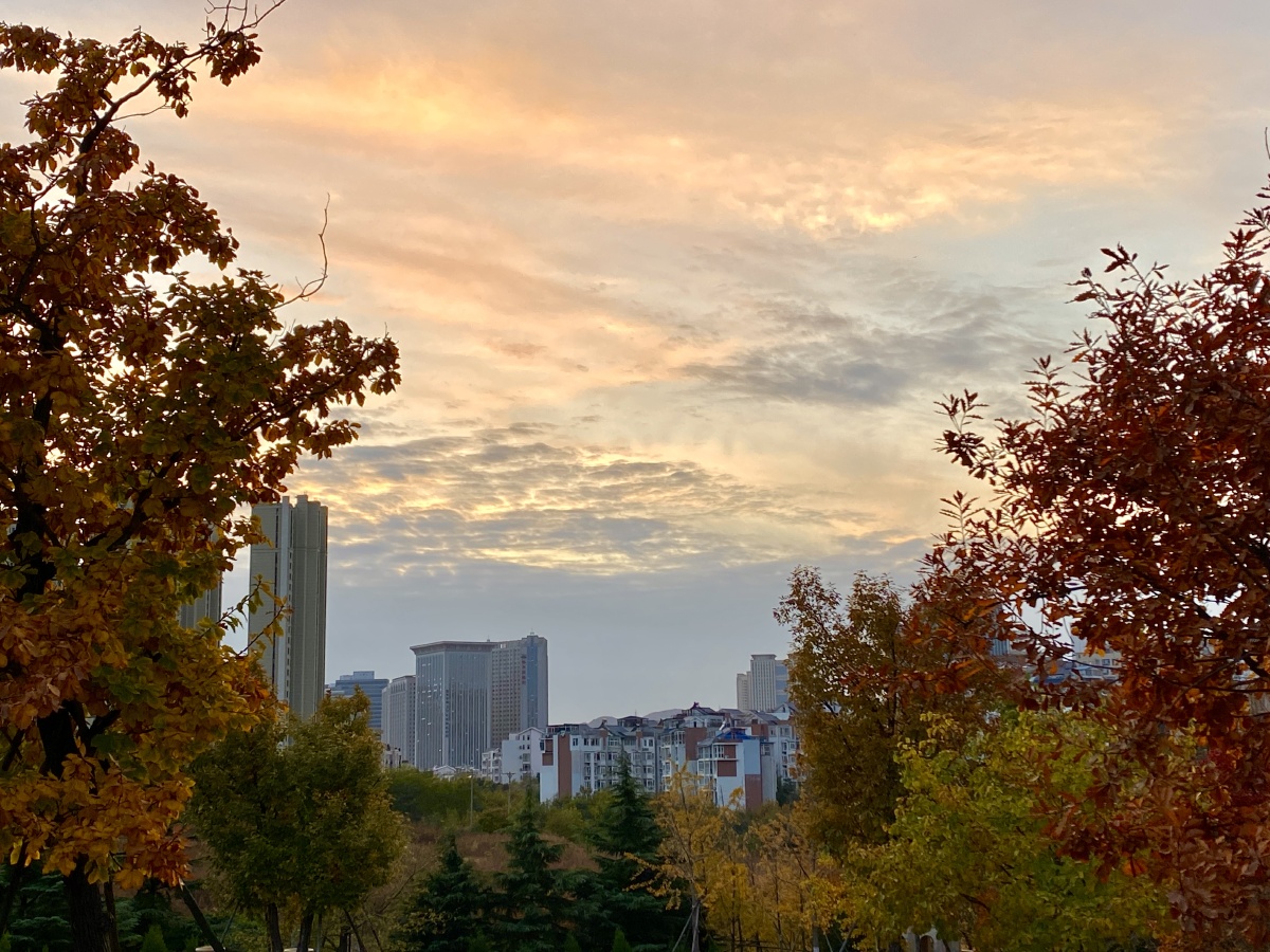 秋红迎晚霞手机拍摄于大连未名山