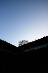 _MG_5783