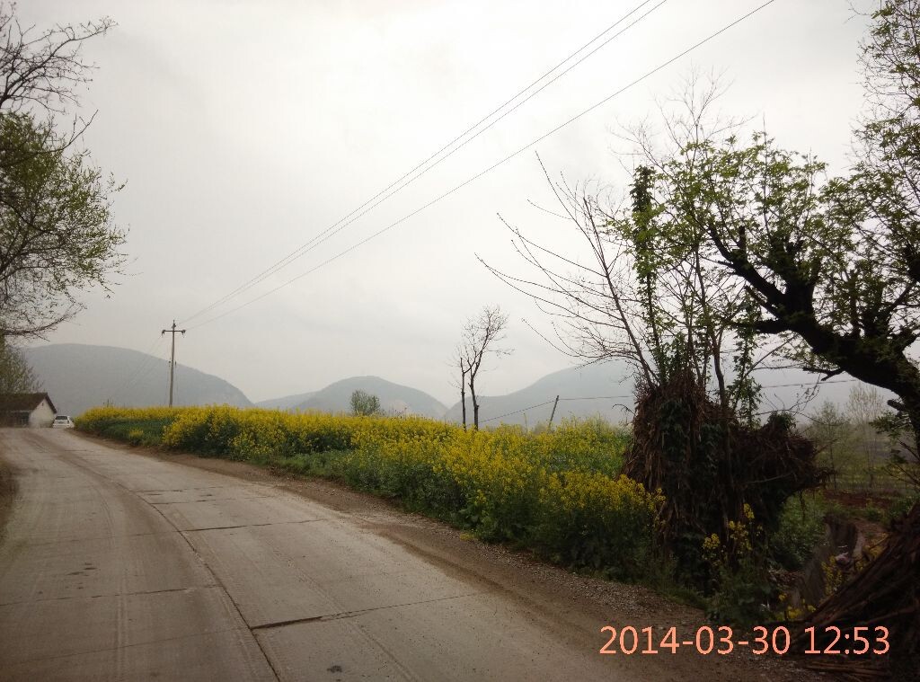 回家的路