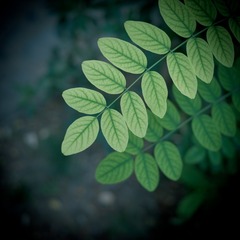 P1060719-3