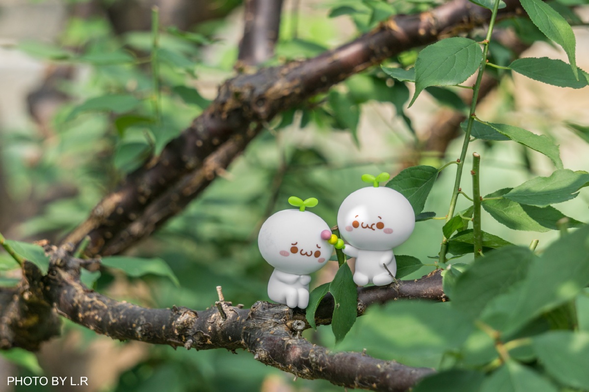 颜团子去玩鸭