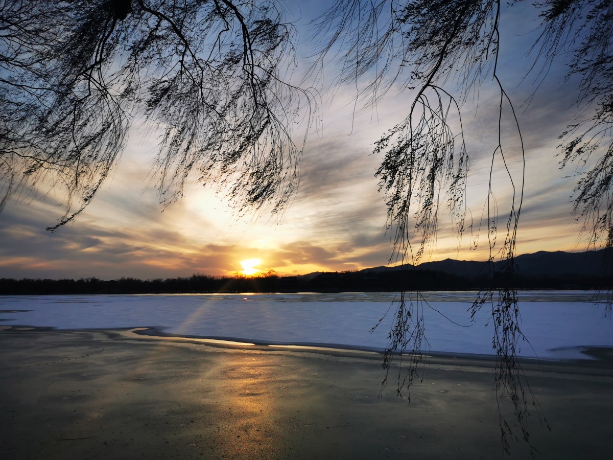 北风吹雁雪纷纷