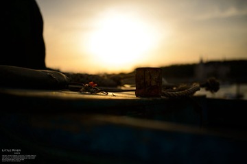 YZ0_0144