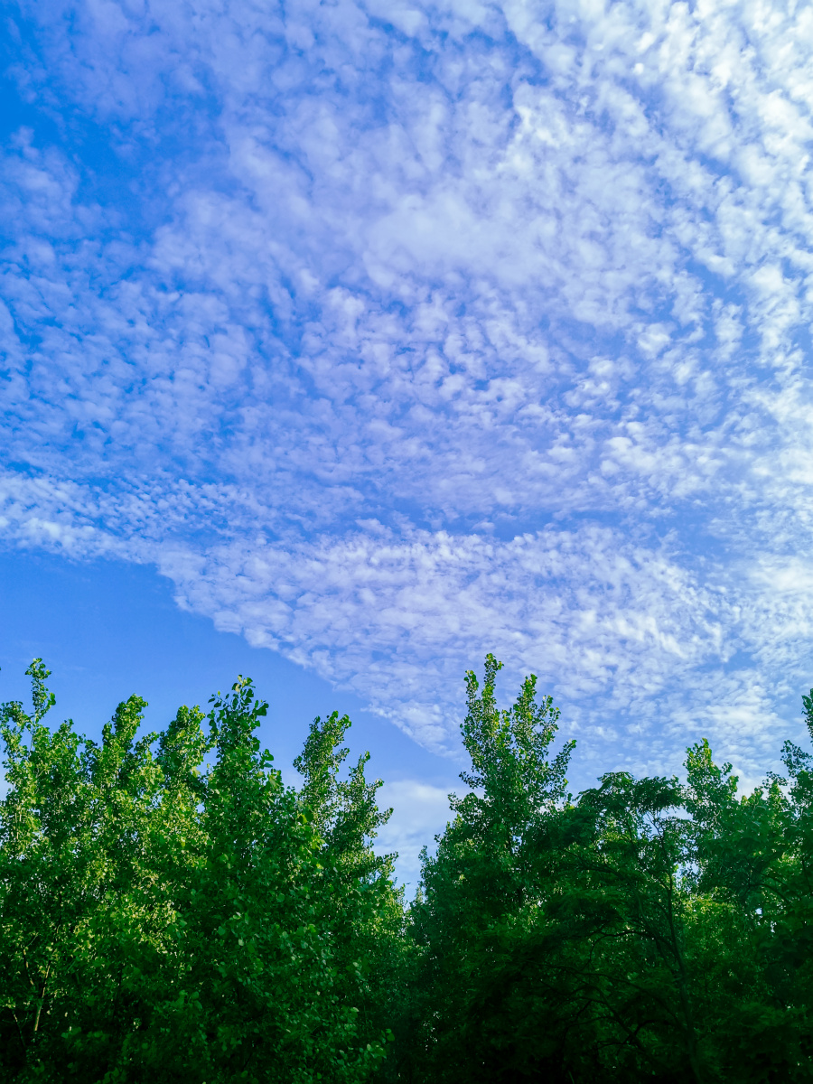 盛夏的蔚蓝天空