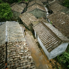 L1006264_
