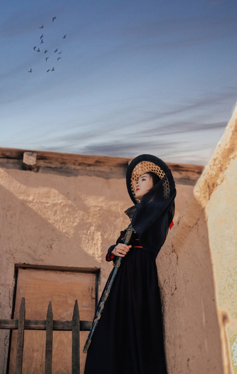 长烟落日孤城闭