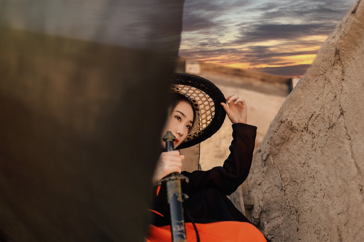 长烟落日孤城闭