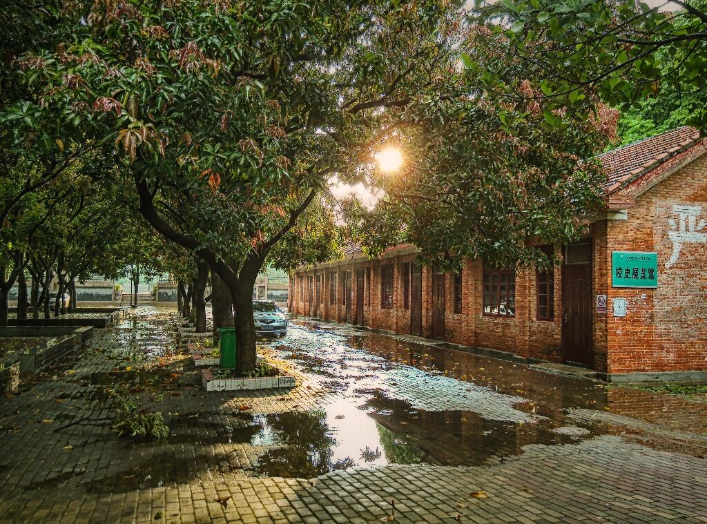 雨后校园的一角