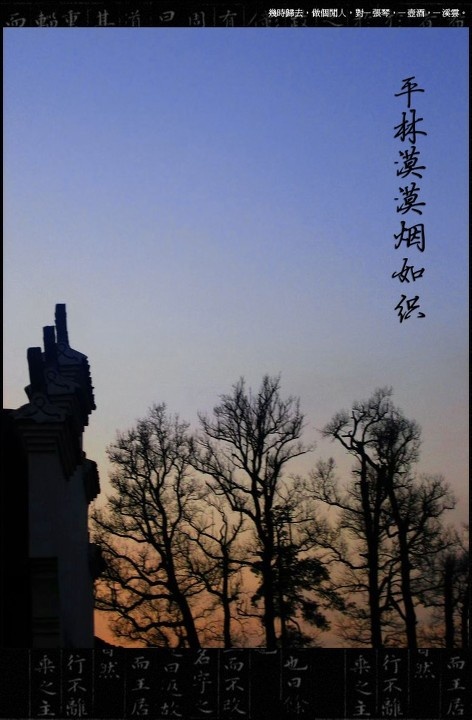 平林漠漠烟如织