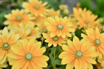 _DSC0016 (2)
