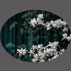 春天