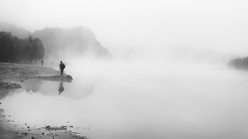 皖南川藏线红杉林的早晨
