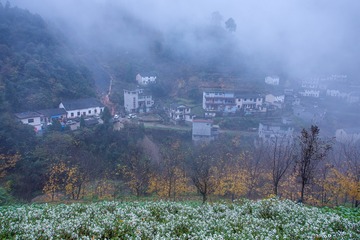 大洲源的清晨