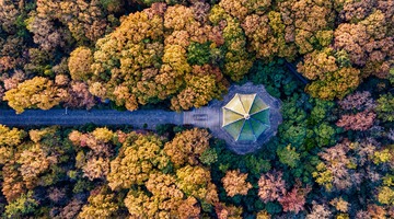 秋日下的灵谷寺