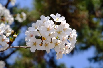 97FF0C16-3E09-4725-B5F2-DD6141B69719