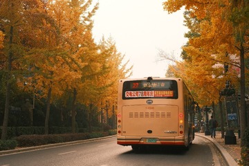 0303C4DB-CA46-40AB-BAFA-F12D485D0005/L0/001