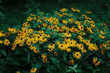 1F779D65-2FF4-409F-8F16-3B63CF5DA014/L0/001